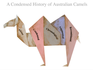 A Condensed History of Australian Camels